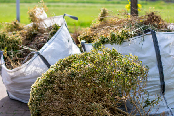 Reliable Bainbridge Island, WA Junk Removal Solutions